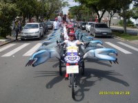 Marejada 2010
